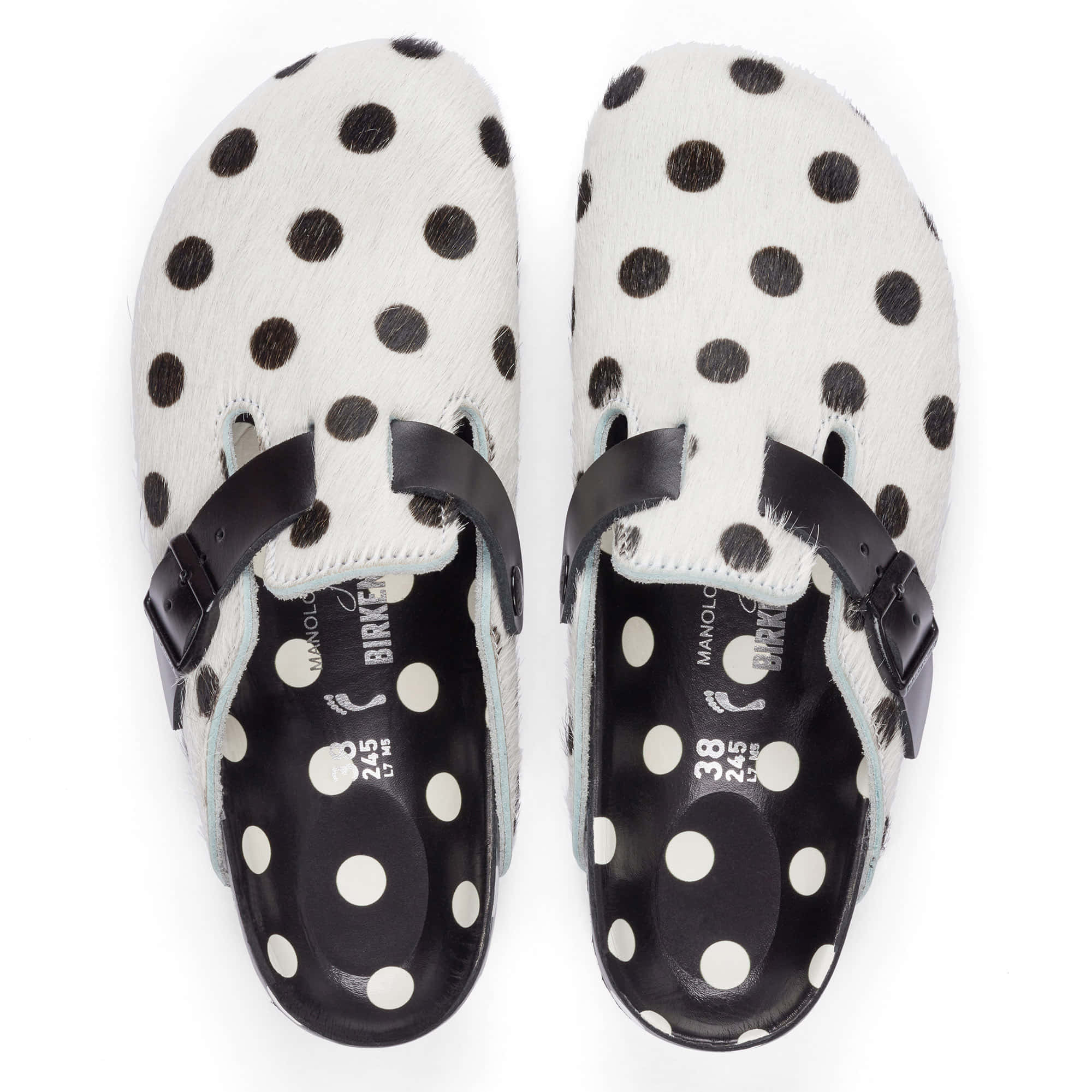 Boston Manolo Polka Dots - Image 3