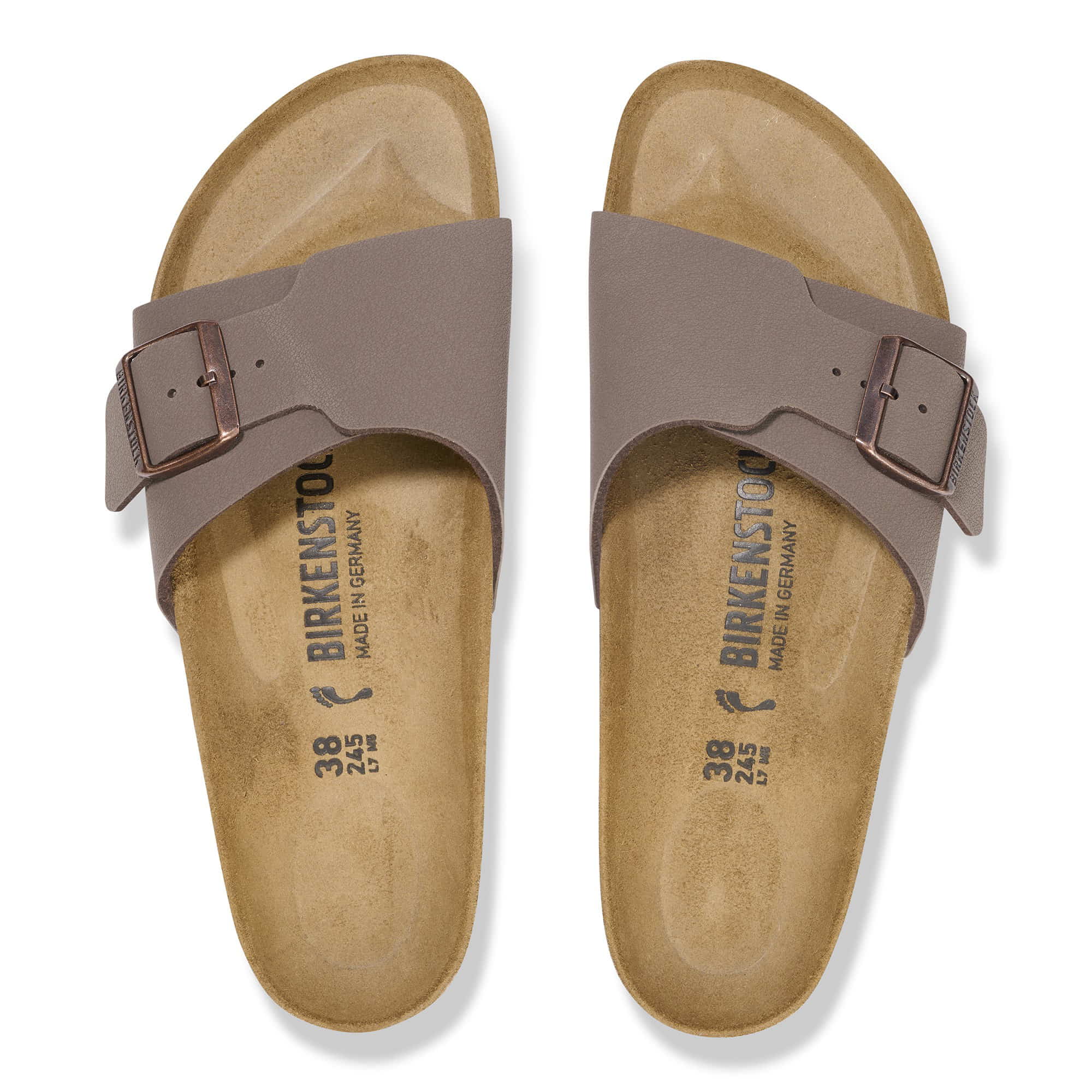 Catalina Birko-Flor - Image 3