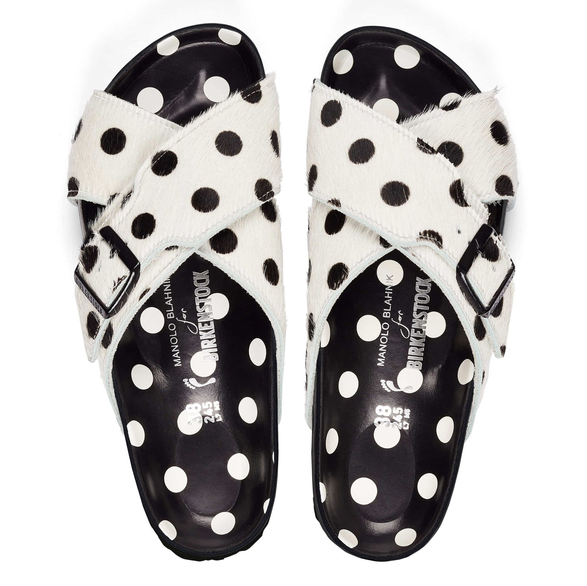 Rodra Manolo Polka Dots - Image 4