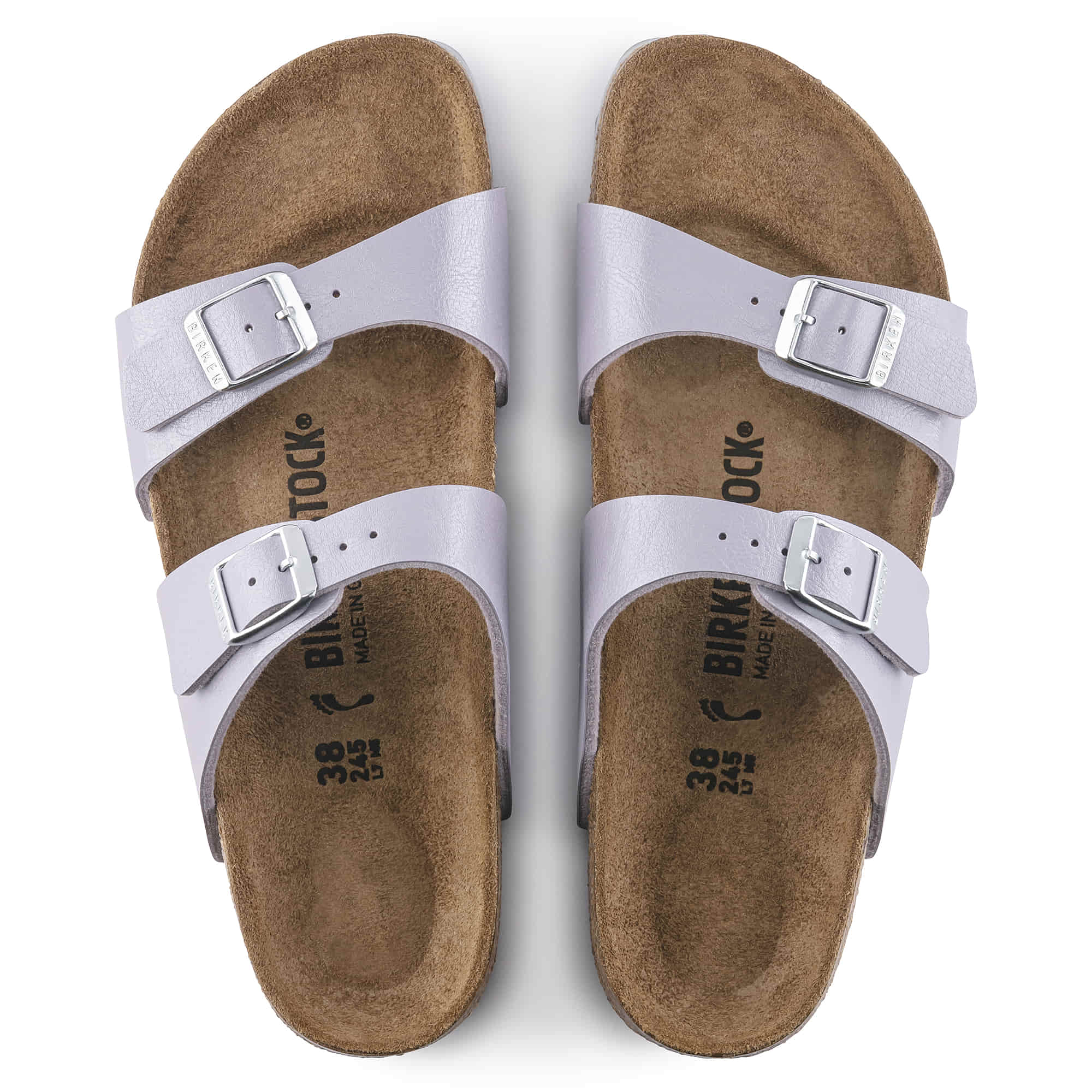 Sydney Birko-Flor - Image 3
