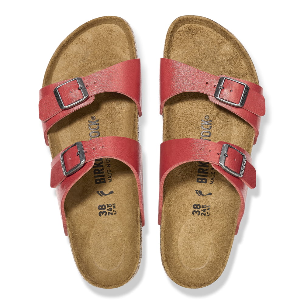 Sydney Birko-Flor - Image 4